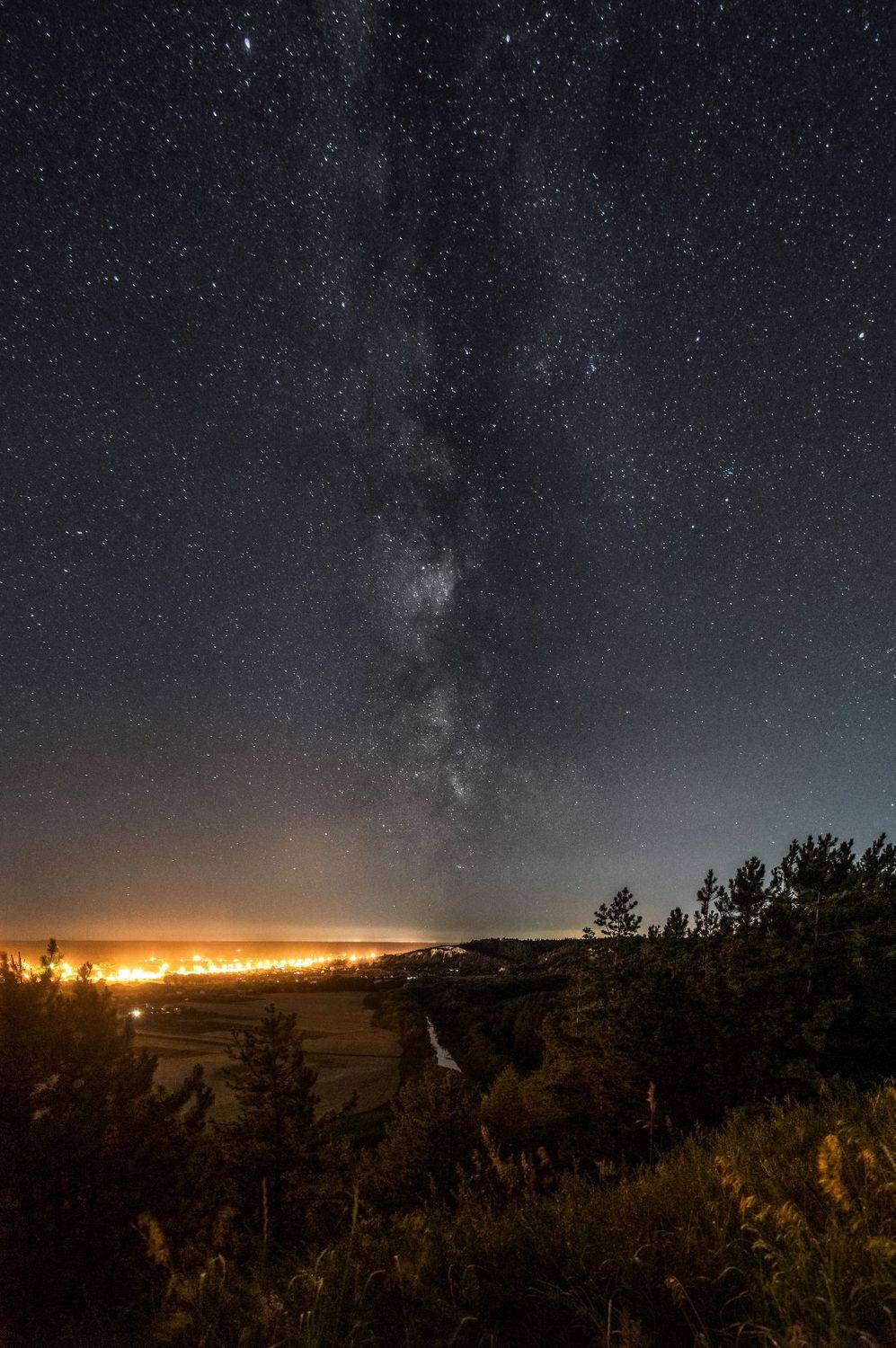 бекарюковский бор, млечный путь, bekaryukovsky forest, milky way, Александр Литвишко