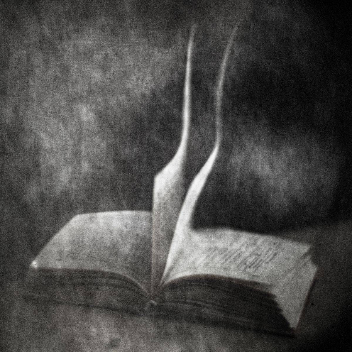 , Татьяна Аверина