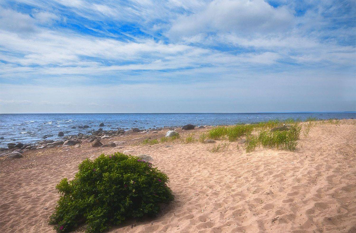 , Алексей Герасимов