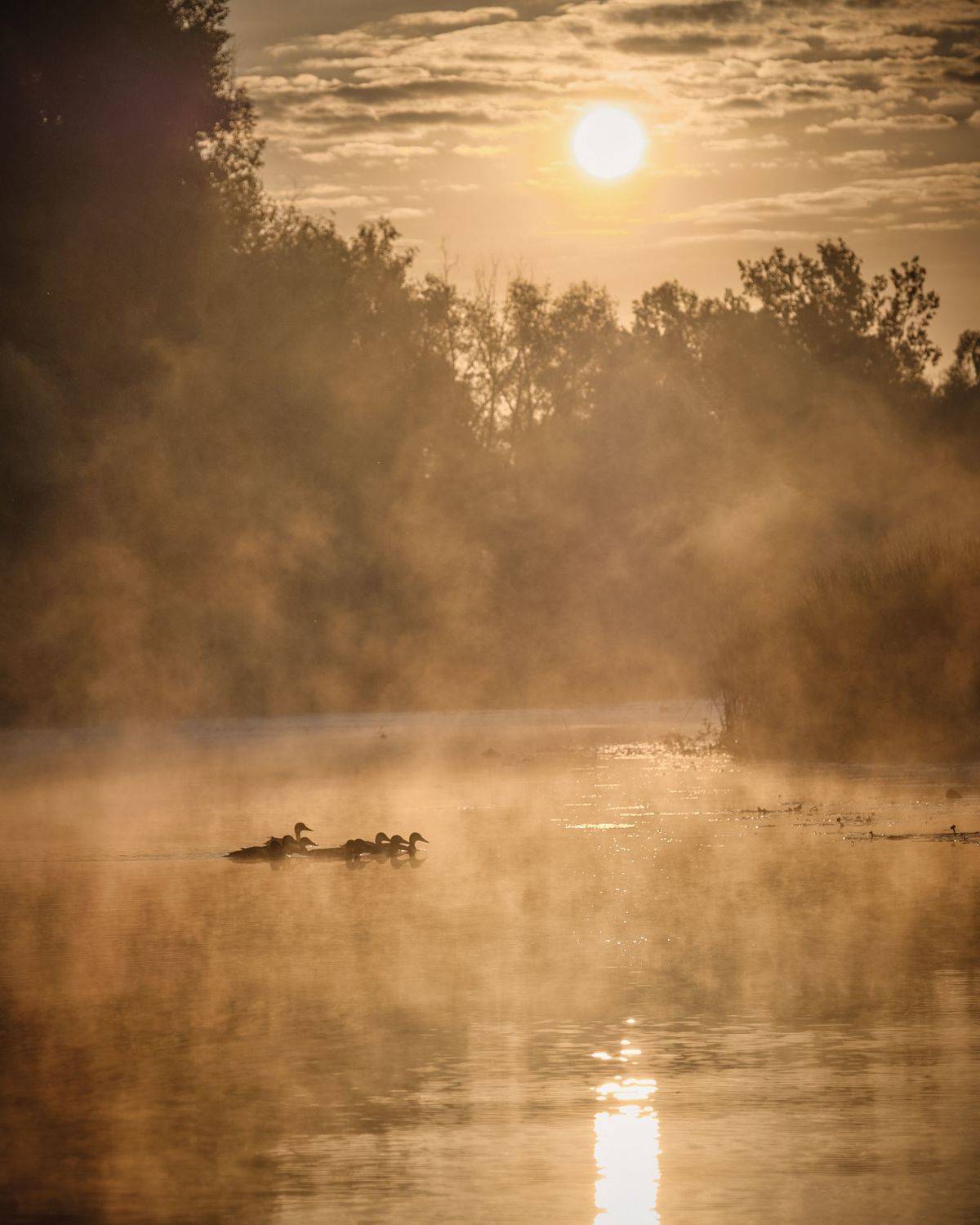 , Александр