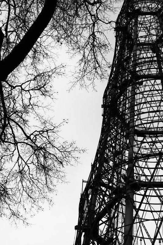 Противостояние. фото превью