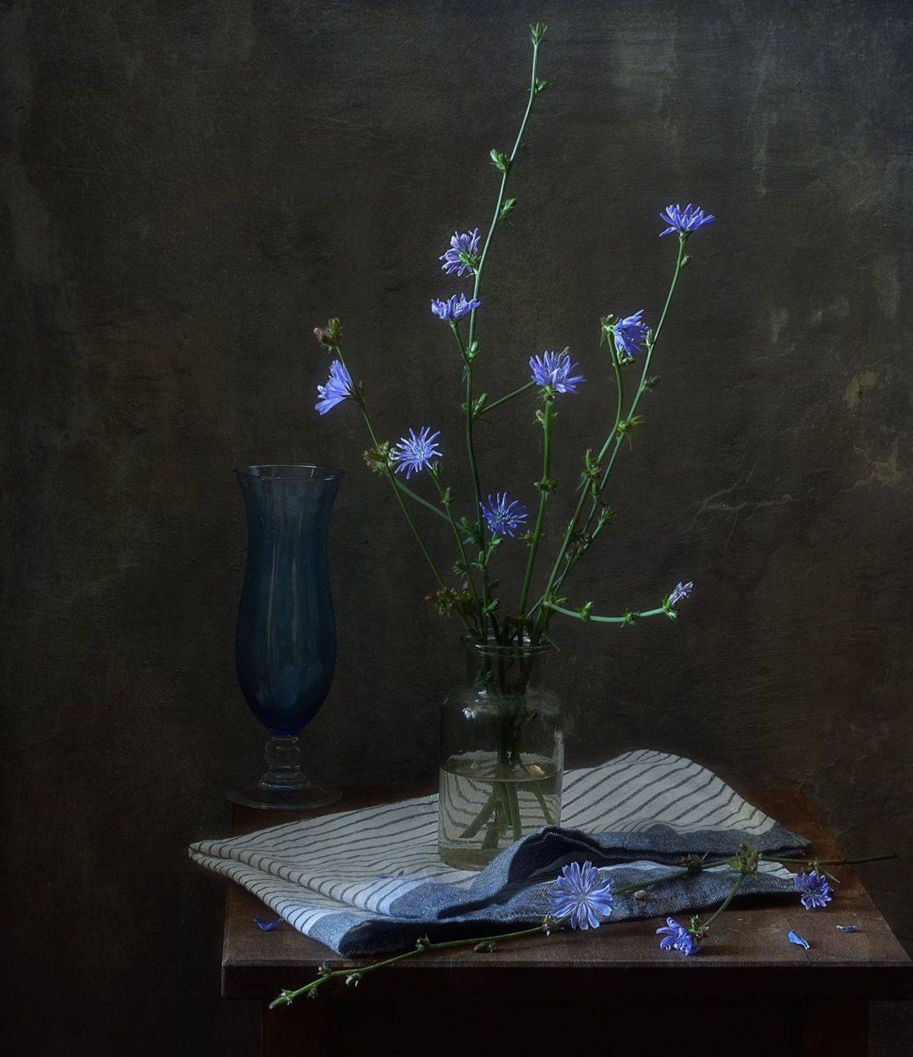 натюрморт,лето,цикорий,цветы, Наталия К