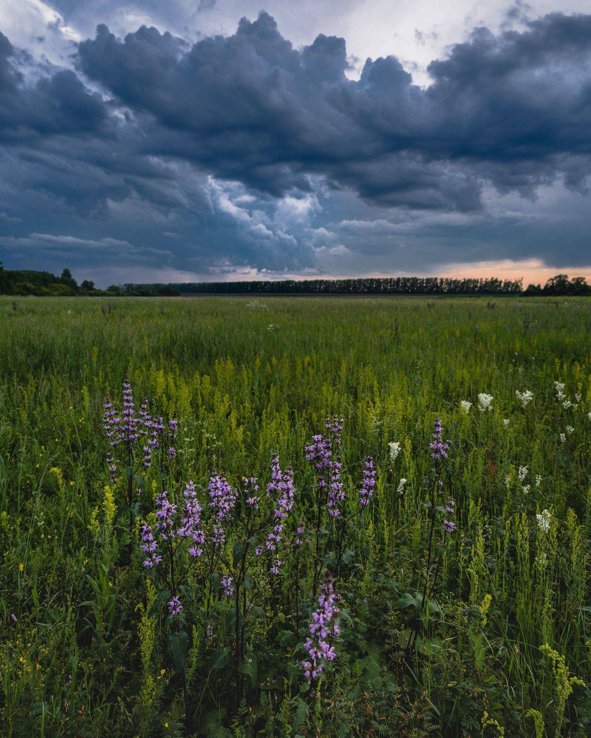 , Эдуард Галеев