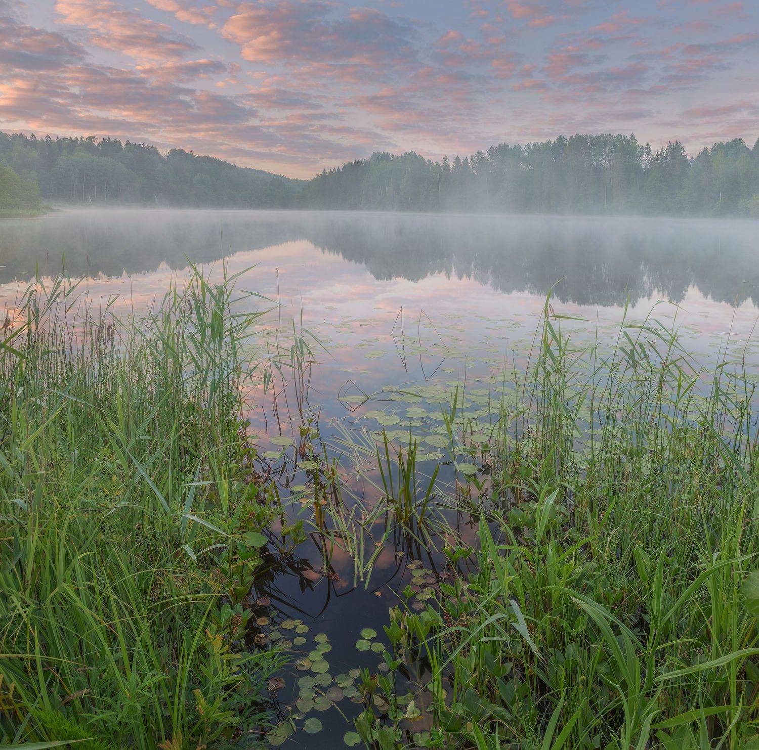 Фототуры с Владимиром Рябковым, Андреапольские озера, #topnature #russpasibo #magic_shots #lovelyRussia #sunset_vision #exclusive_sky  #exclusive_shots #loves_russia2 #photoarena_nature #nature_sultans #nature_perfection #rsa_sky #rsa_sunset #photorussia , Владимир Рябков