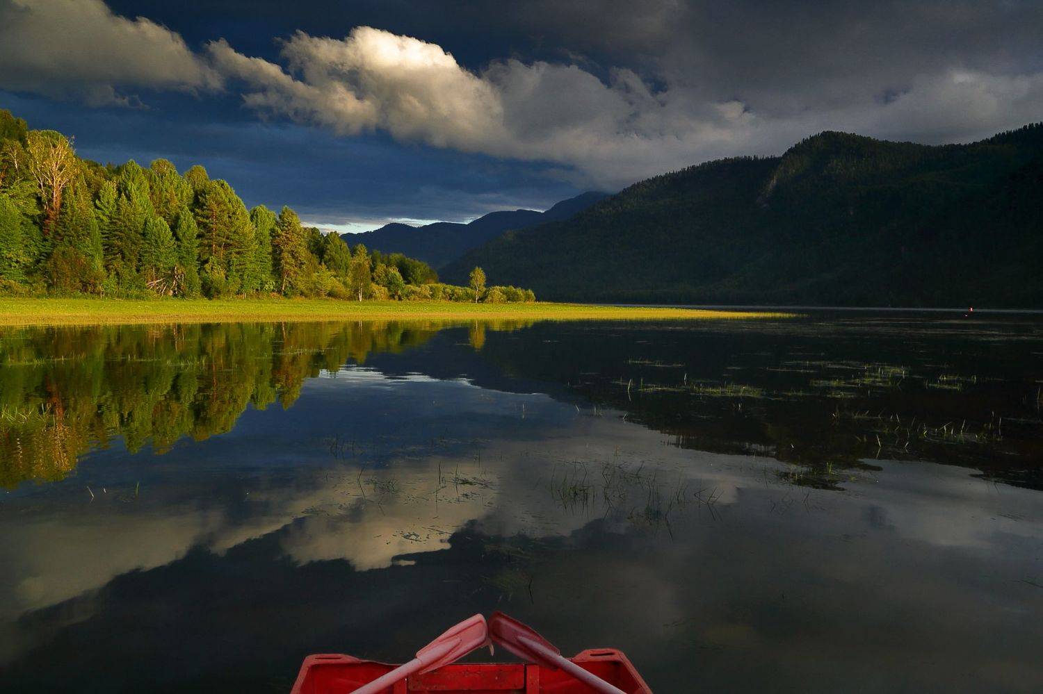 , Евгений Зинов