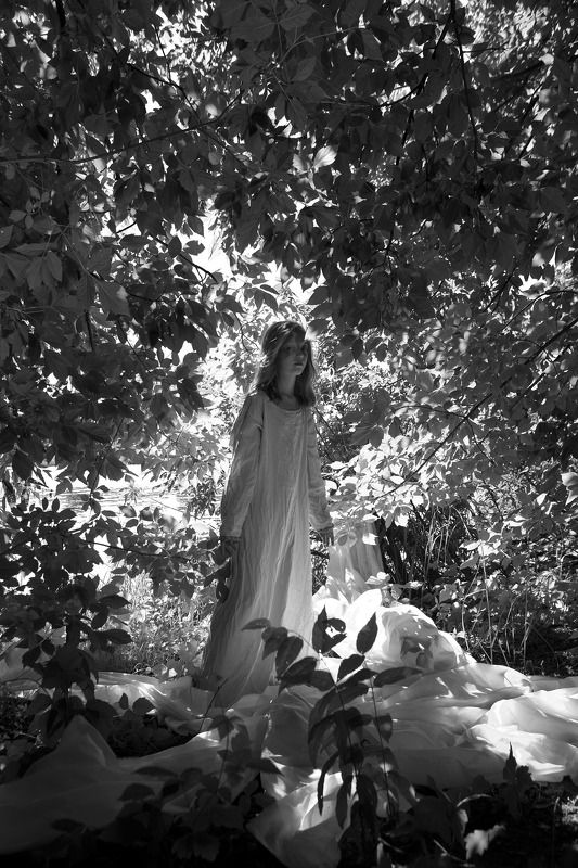 По коротким строкам... фото превью