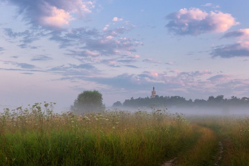 Летнее утро фото превью