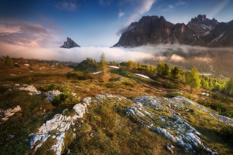 SILENT MORNING фото превью