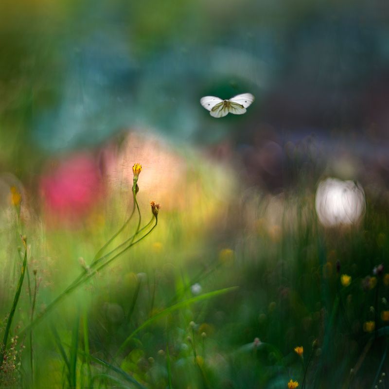 Акварельное лето... фото превью