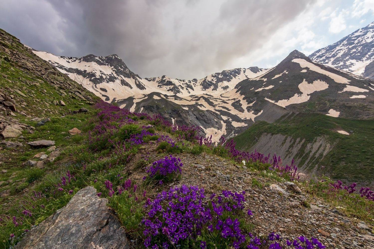 горы, альпинизм, кавказ, ледники,  Эстелла