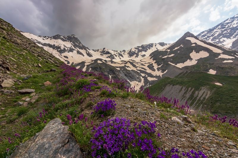горы, альпинизм, кавказ, ледники горные колокольчики... фото превью
