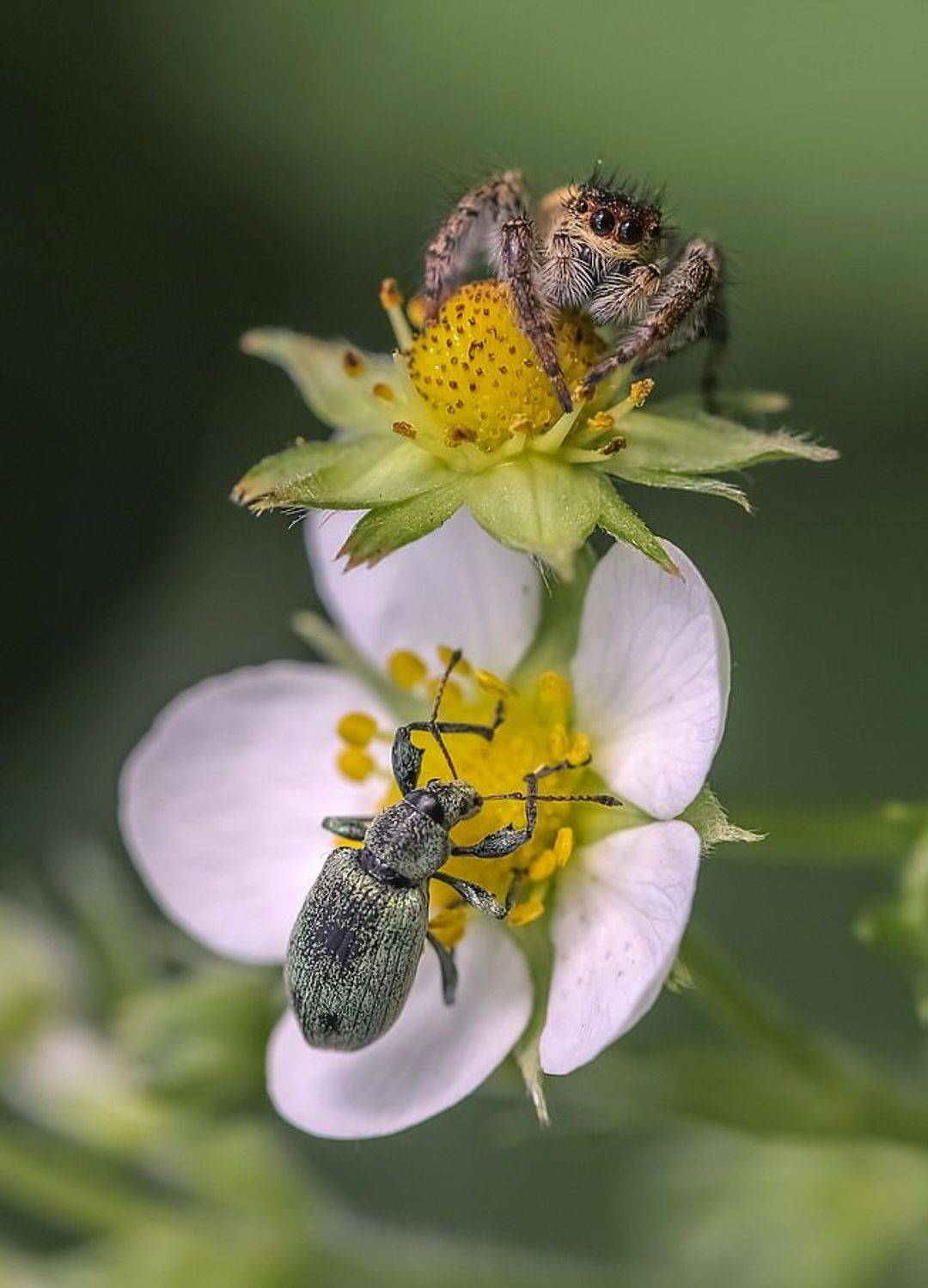, Вячеслав Мищенко