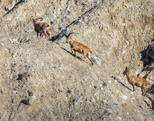 Кавказский тур