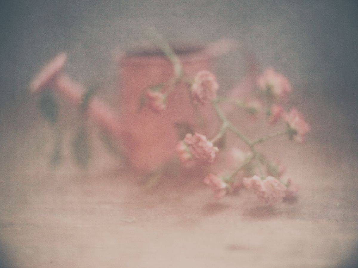 , Татьяна Аверина