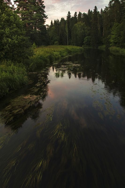 пейзаж, природа, вечер, закат, река На закате фото превью