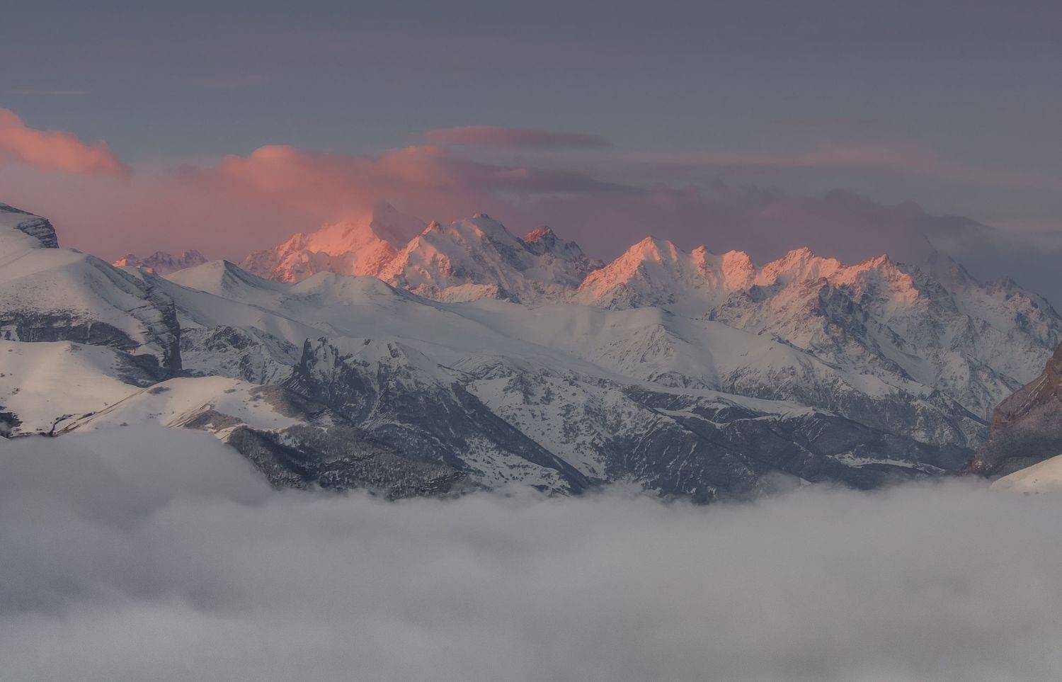 , ДМИТРИЙ ПУЗЕНКО