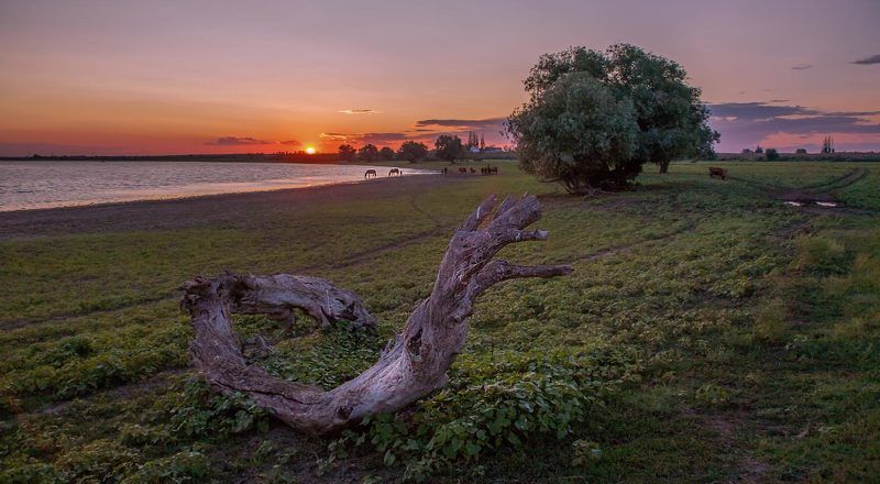 астраханская, обл, , лиманский, район ЛАДЬЯ   ( после половодья ) фото превью