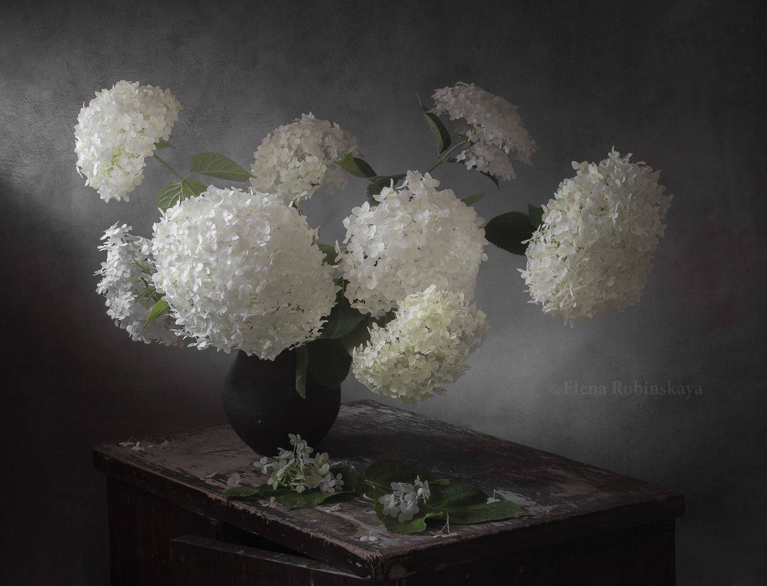 , Елена Рубинская