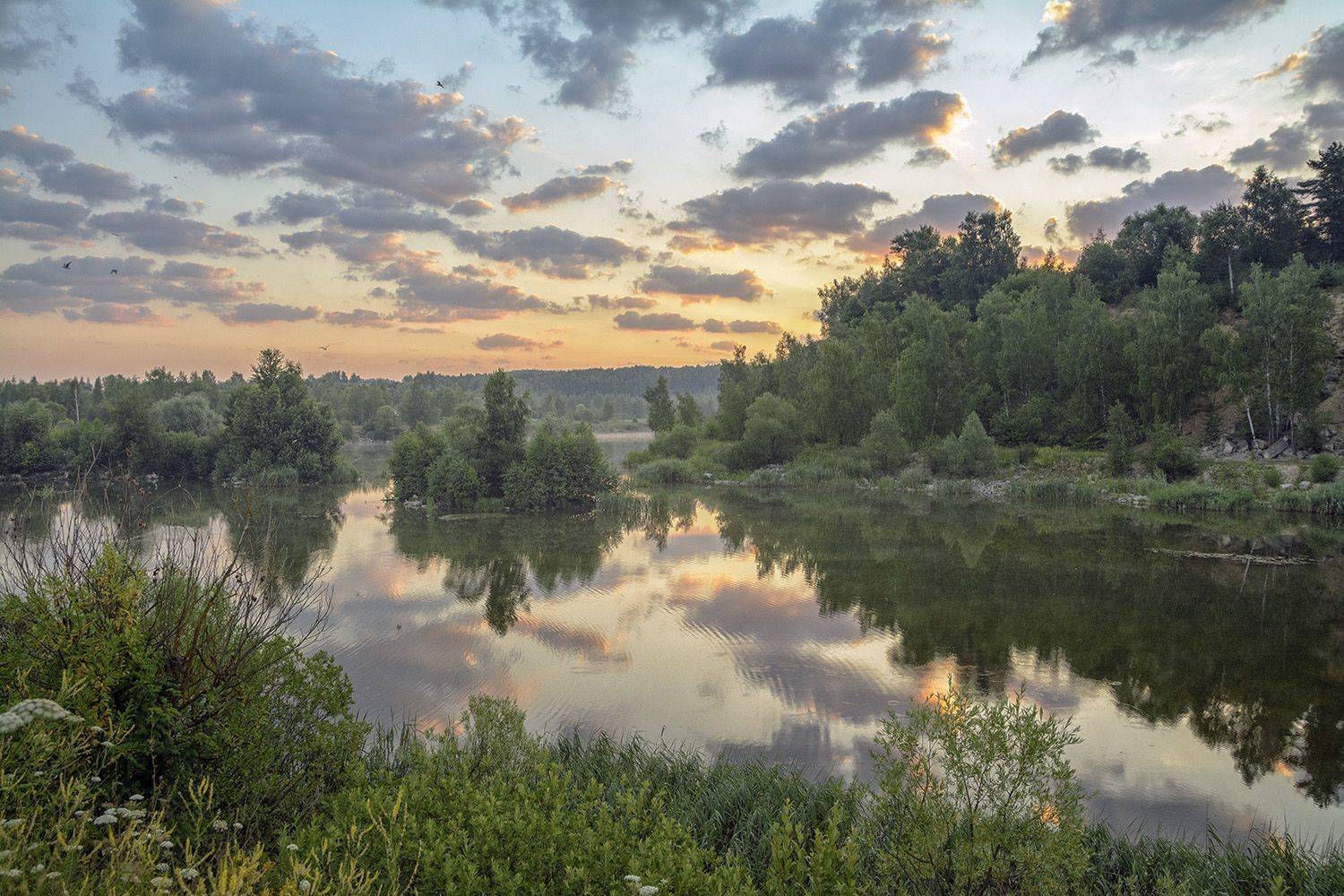 , Анатолий Зверев