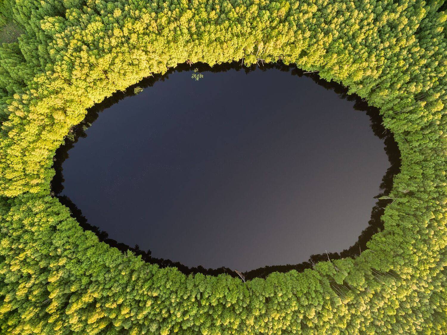 пейзаж, дрон, Сергей Сергеев