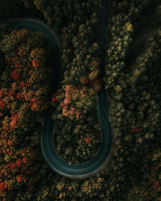Autumn curves фото превью
