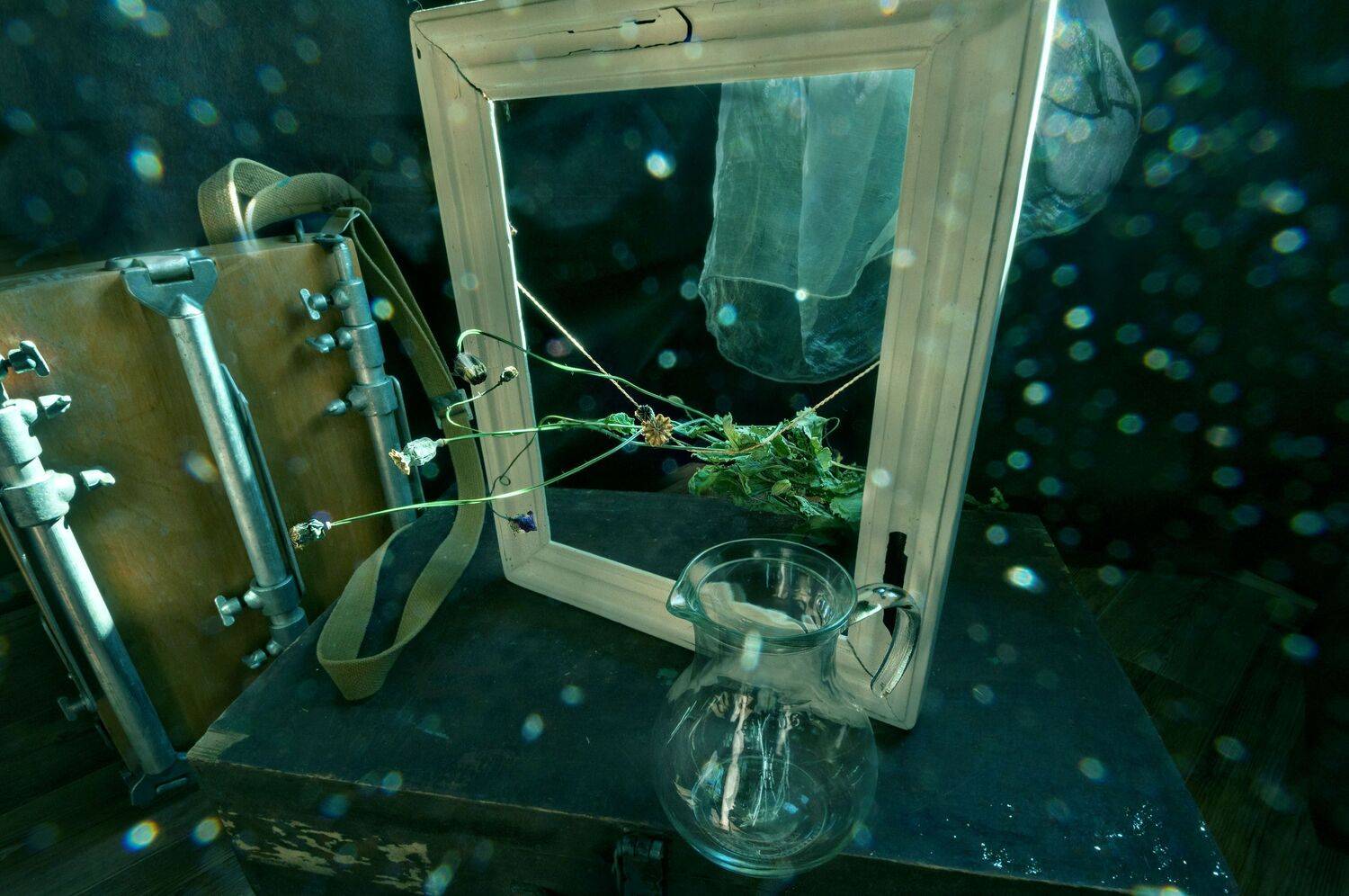 , Ирина Данилова