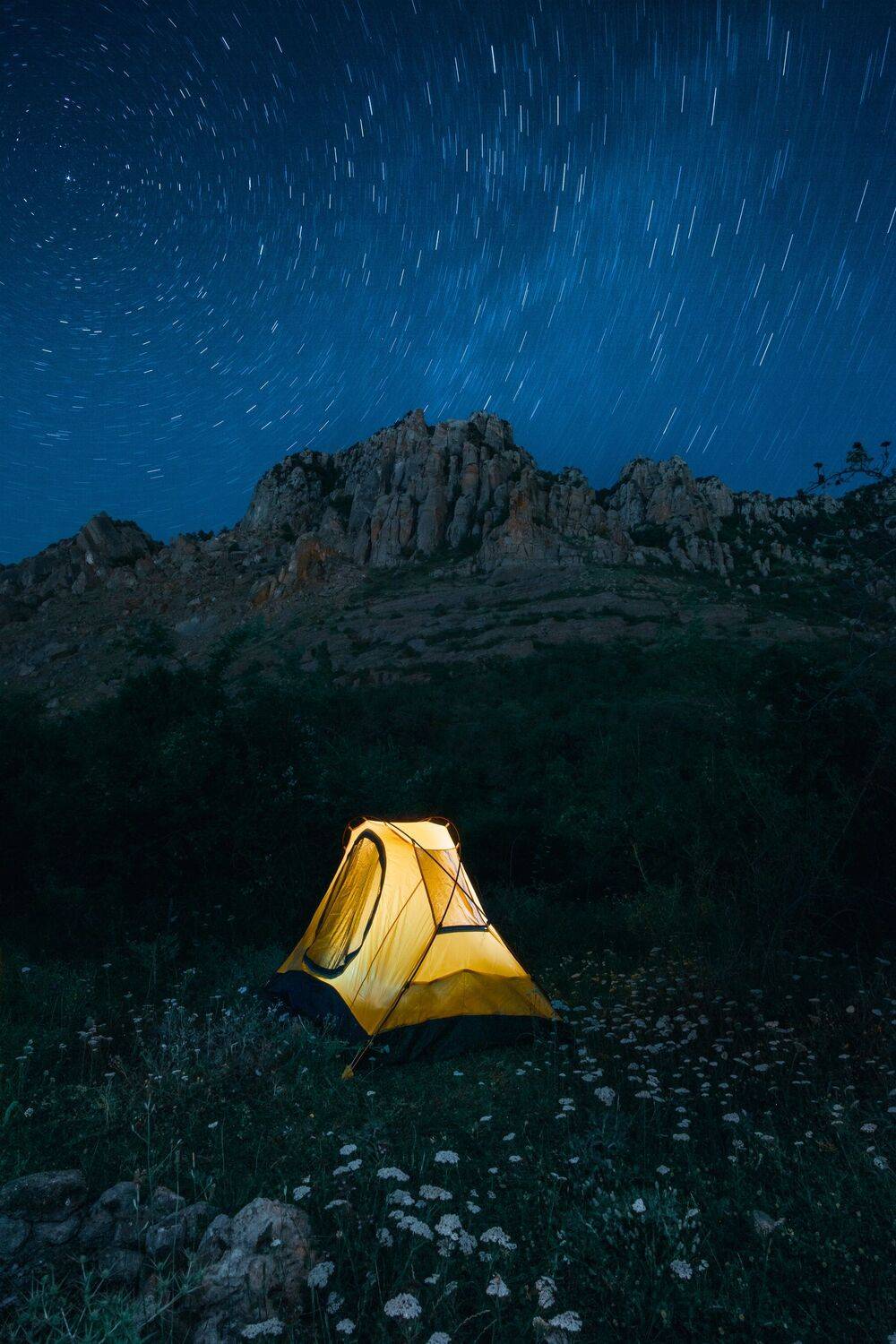 , Андрей Кривцов