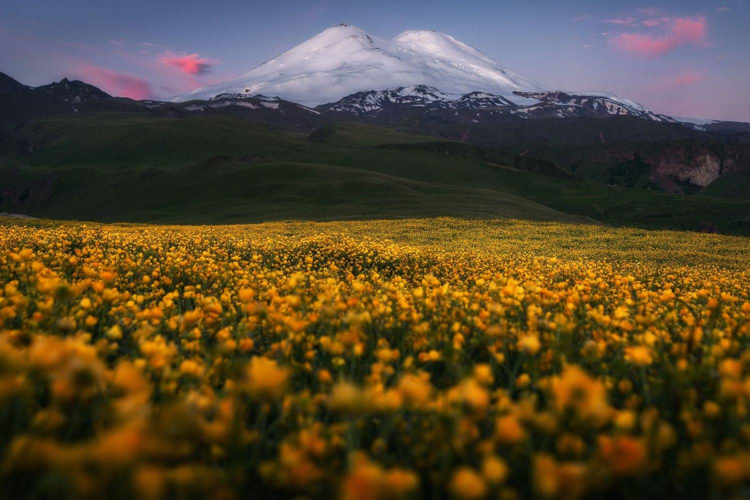 , Михаил Туркеев