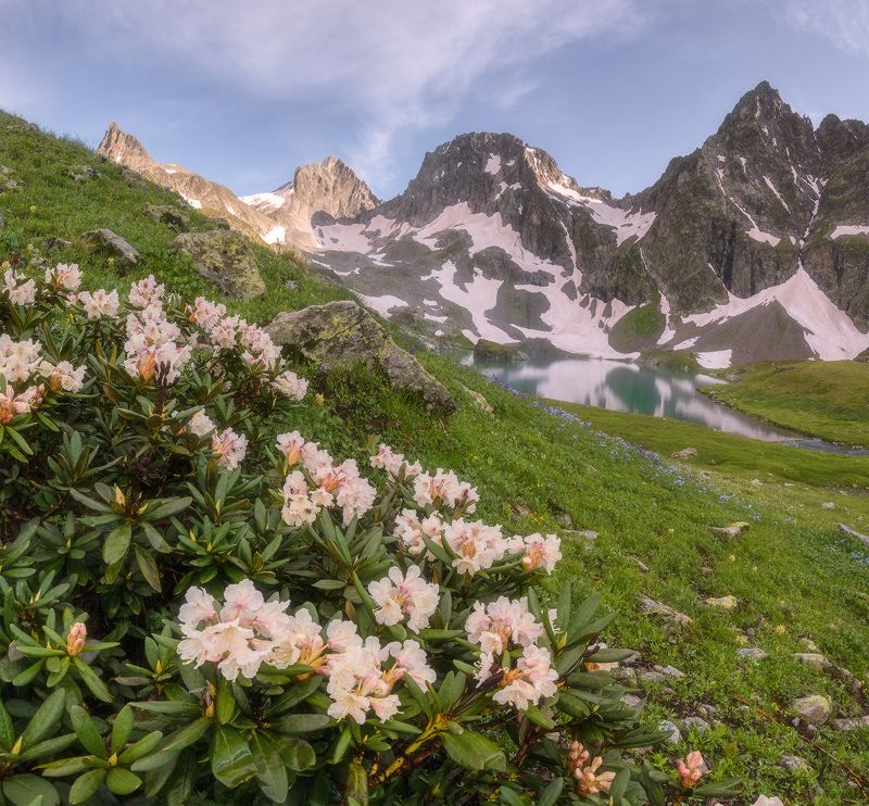 западный кавказ, карачаево-черкесия, заповедник, имеретинка, озеро, родолендроны, июль, вечер Карачаево-Черкесия. Имеретинка фото превью