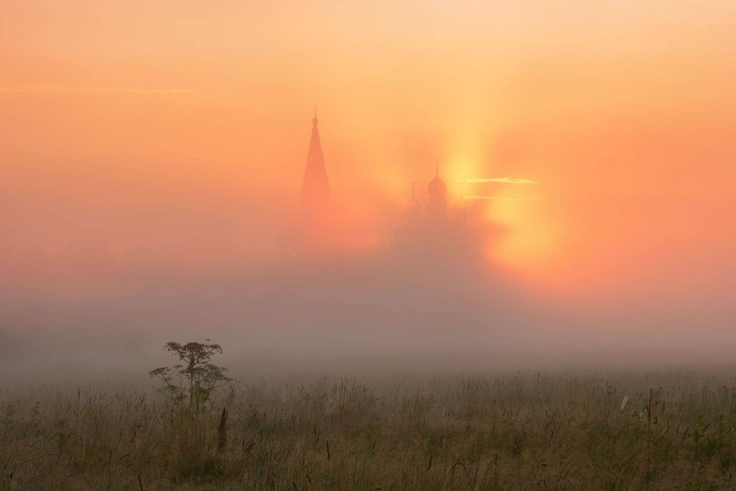 осенево, Максим Евдокимов (phototourtravel.ru)