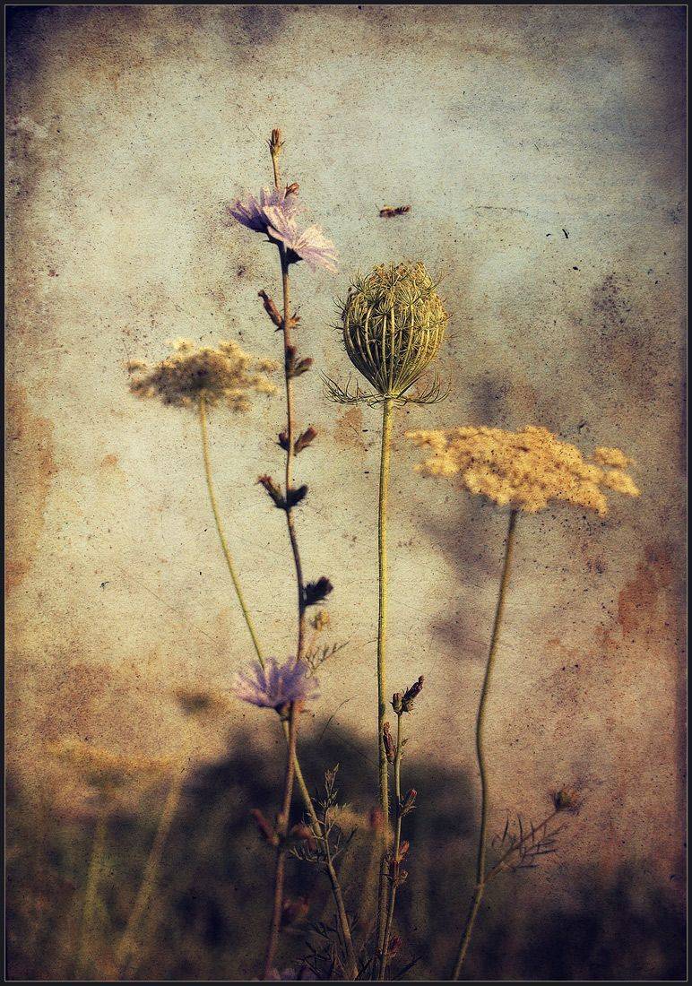 , Александр Хромеев