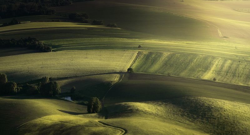 Green land  фото превью