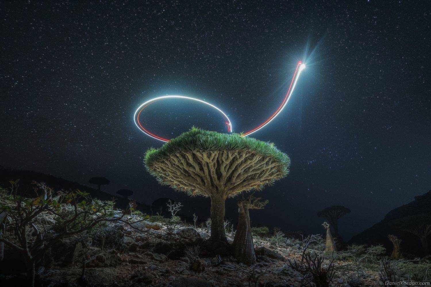 Socotra, Даниил Коржонов