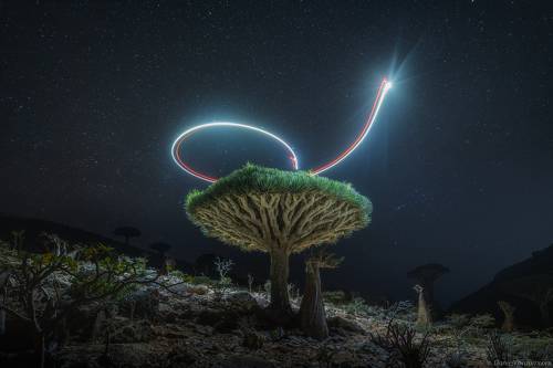 Socotra