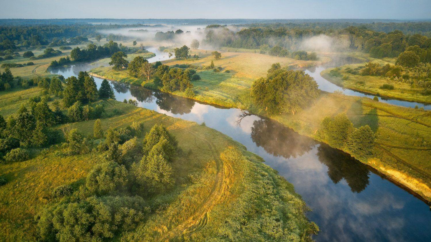 беларусь, дронофото, дубрава, июль, лето, луга, рассвет, река, свислочь, туман, утро, Вейзе Максим