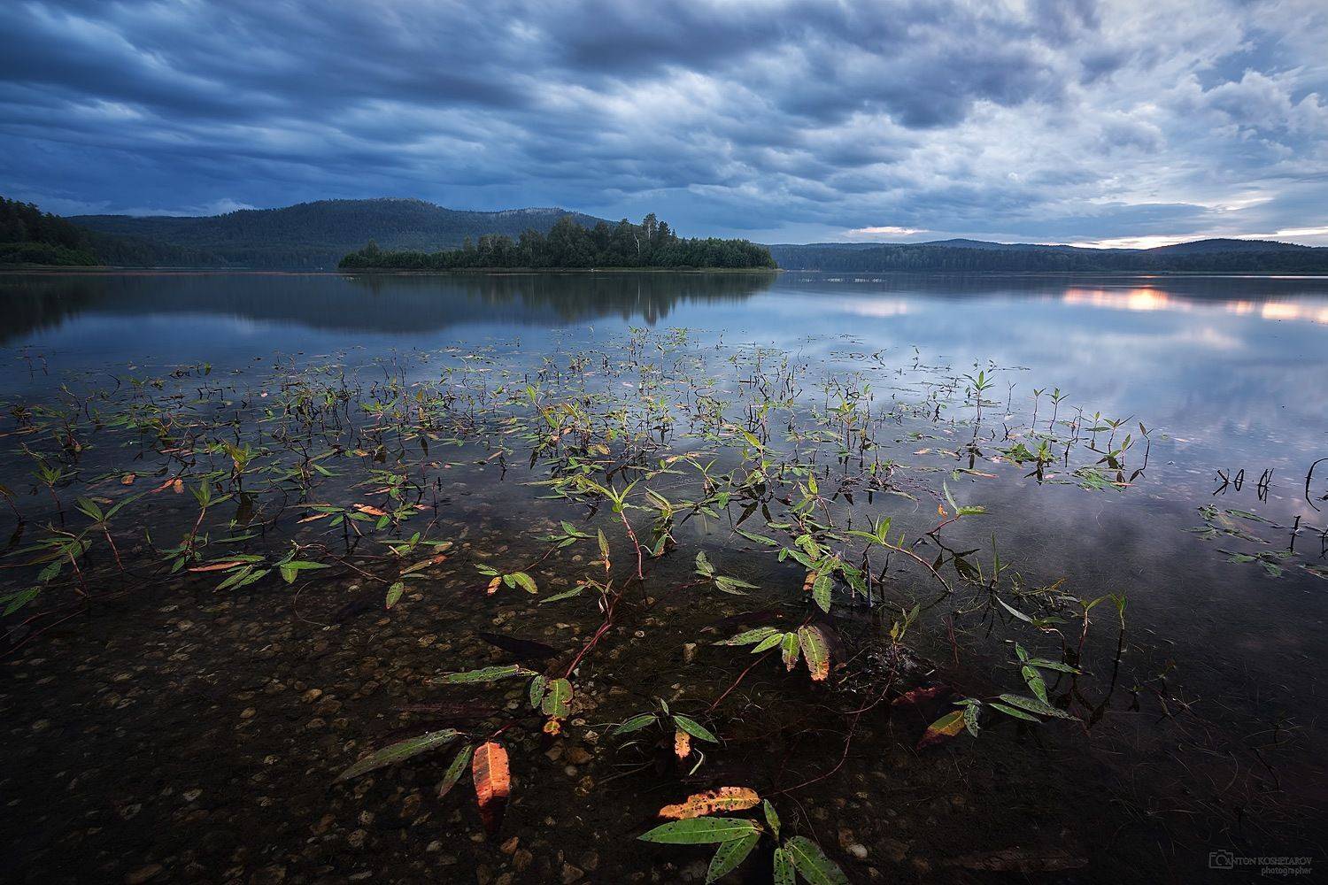 , Антон Кошетаров