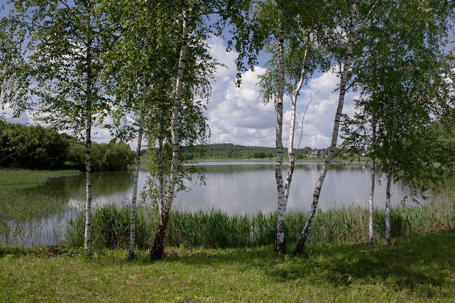 , Ольга Юсупова