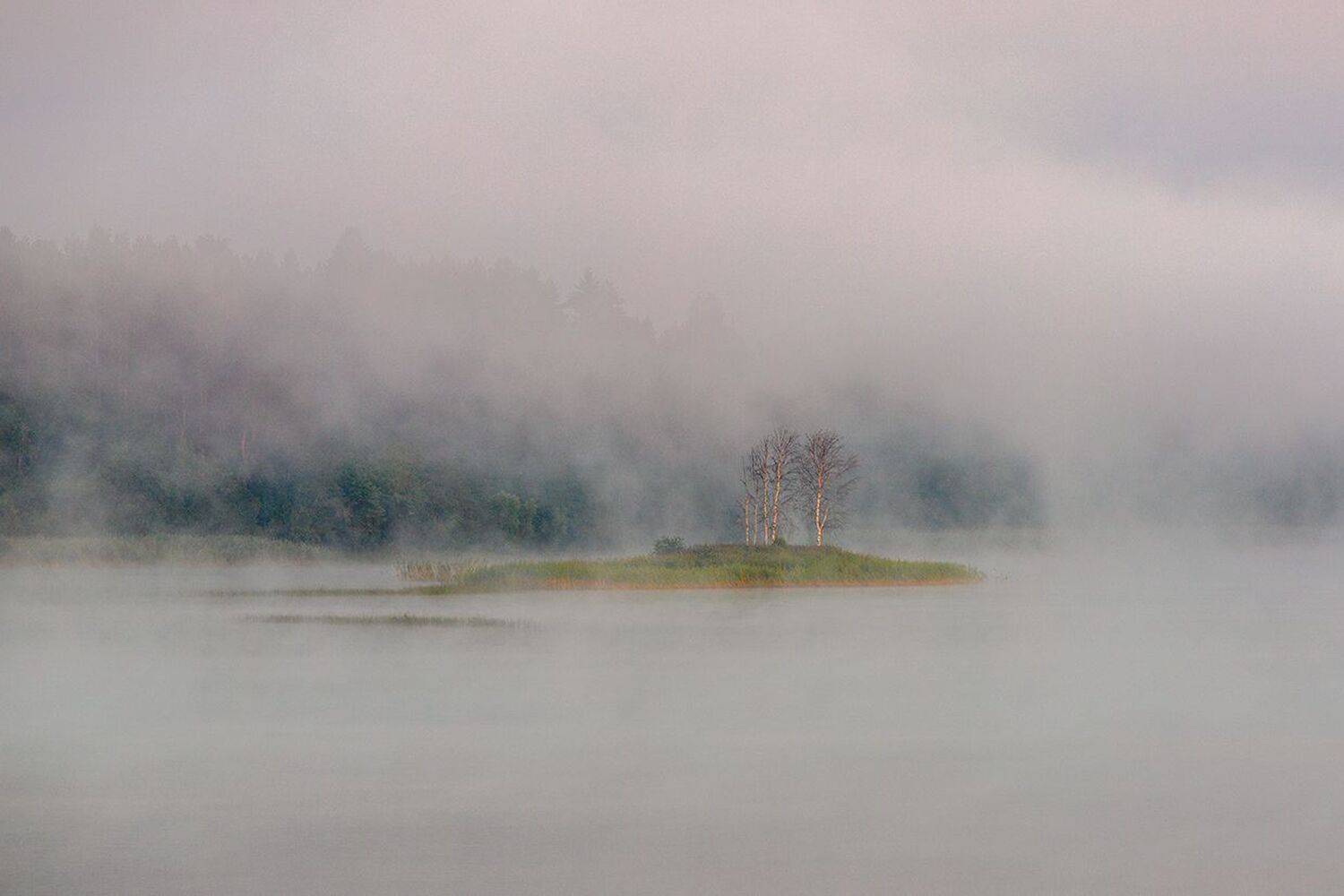 , Шитиков Владимир