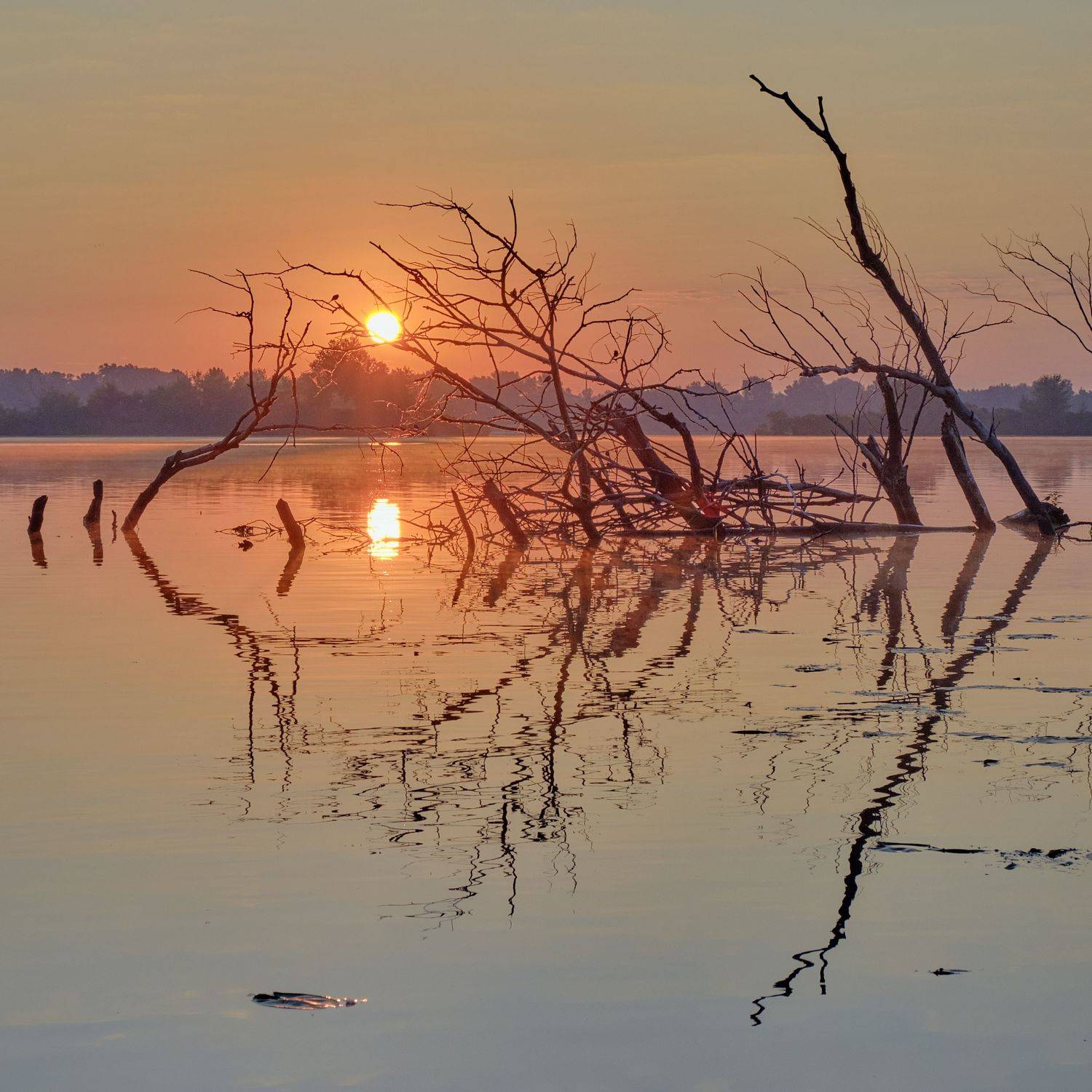 , Александр