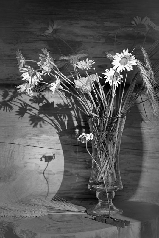 Тень моя - любовь моя к тебе, мы с тобою вместе неразлучны ... фото превью