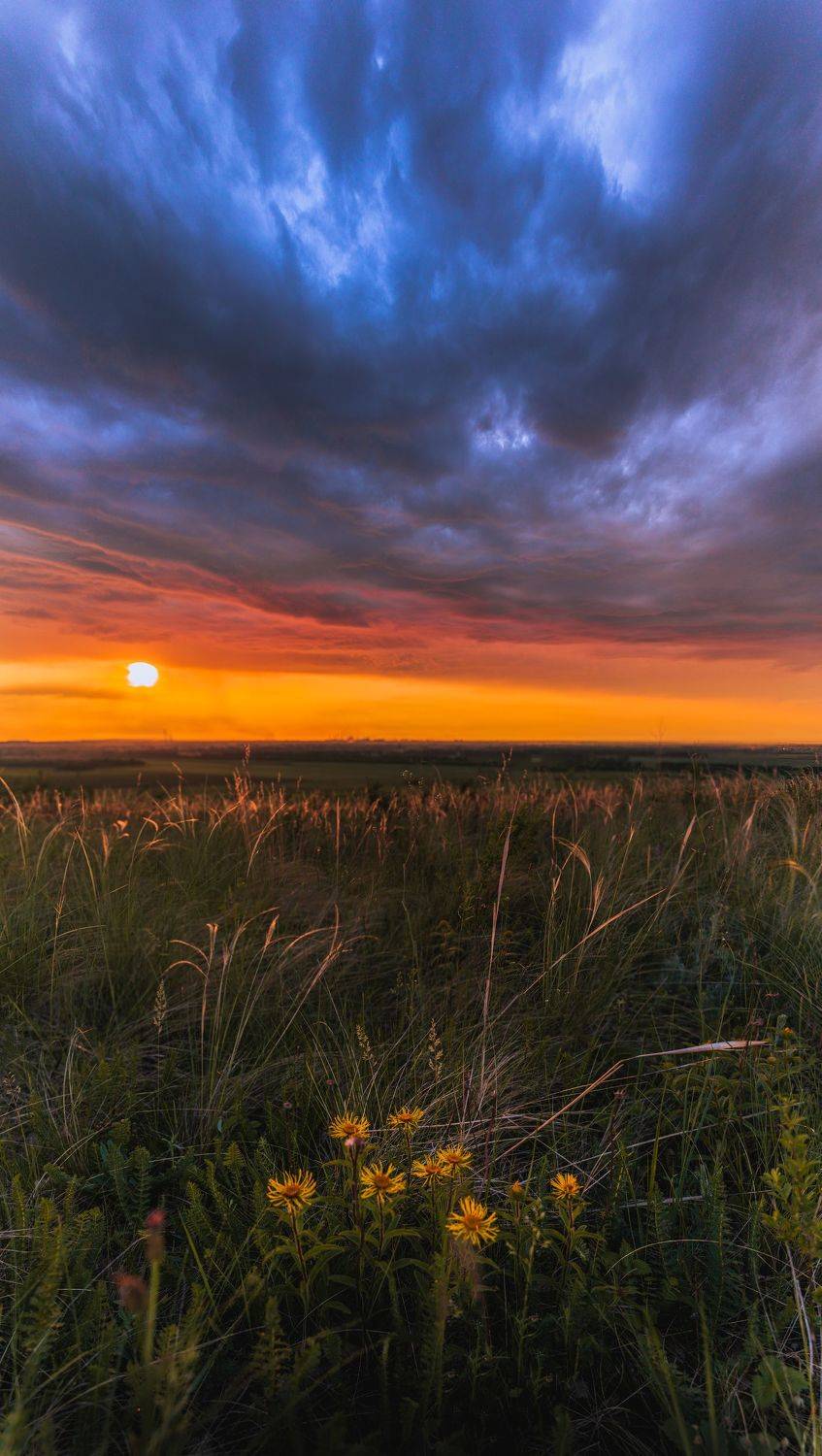 , Эдуард Галеев