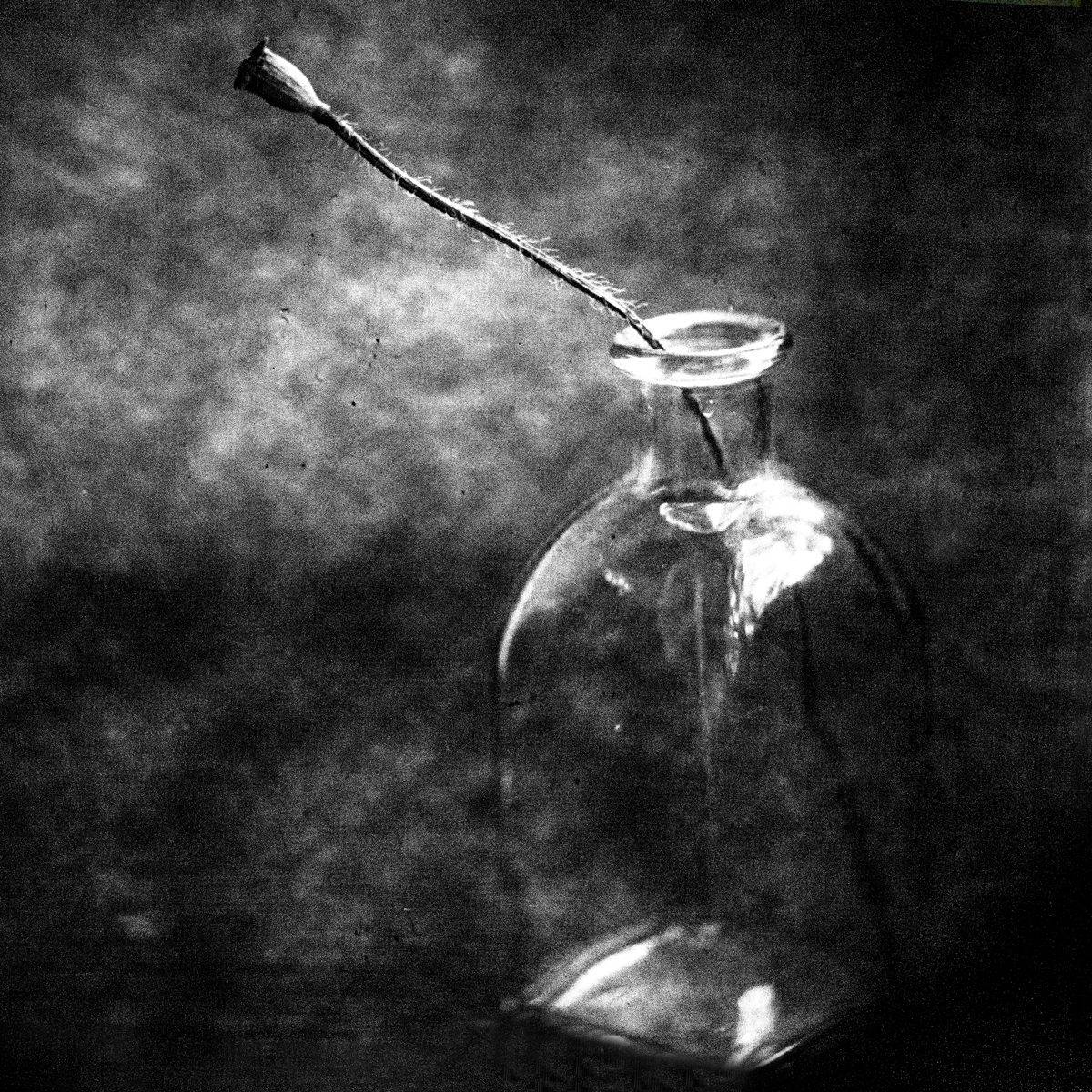 , Татьяна Аверина