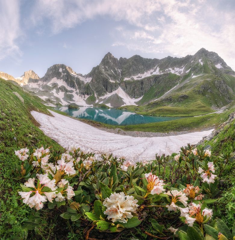 западный кавказ, имеретинка, озеро безмолвия, рододендроны, Имеретинка фото превью