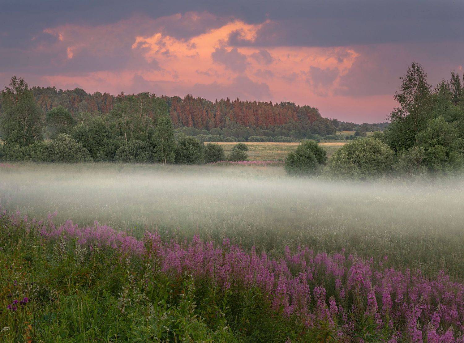 Фототуры с Владимиром Рябковым, Тверь, #topnature #russpasibo #magic_shots #lovelyRussia #sunset_vision #exclusive_sky  #exclusive_shots #loves_russia2 #photoarena_nature #nature_sultans #nature_perfection #rsa_sky #rsa_sunset #photorussia #rsa_naturepics, Владимир Рябков