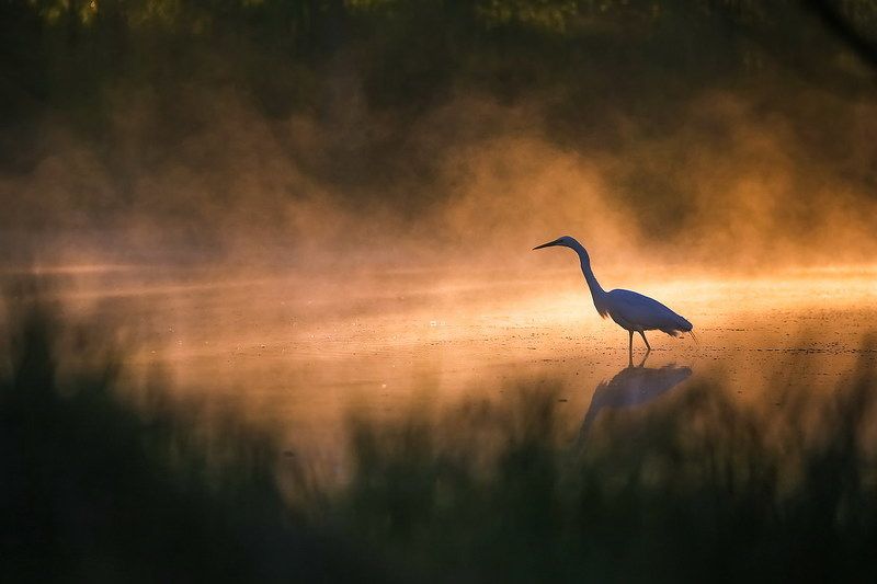 Рассветная фото превью