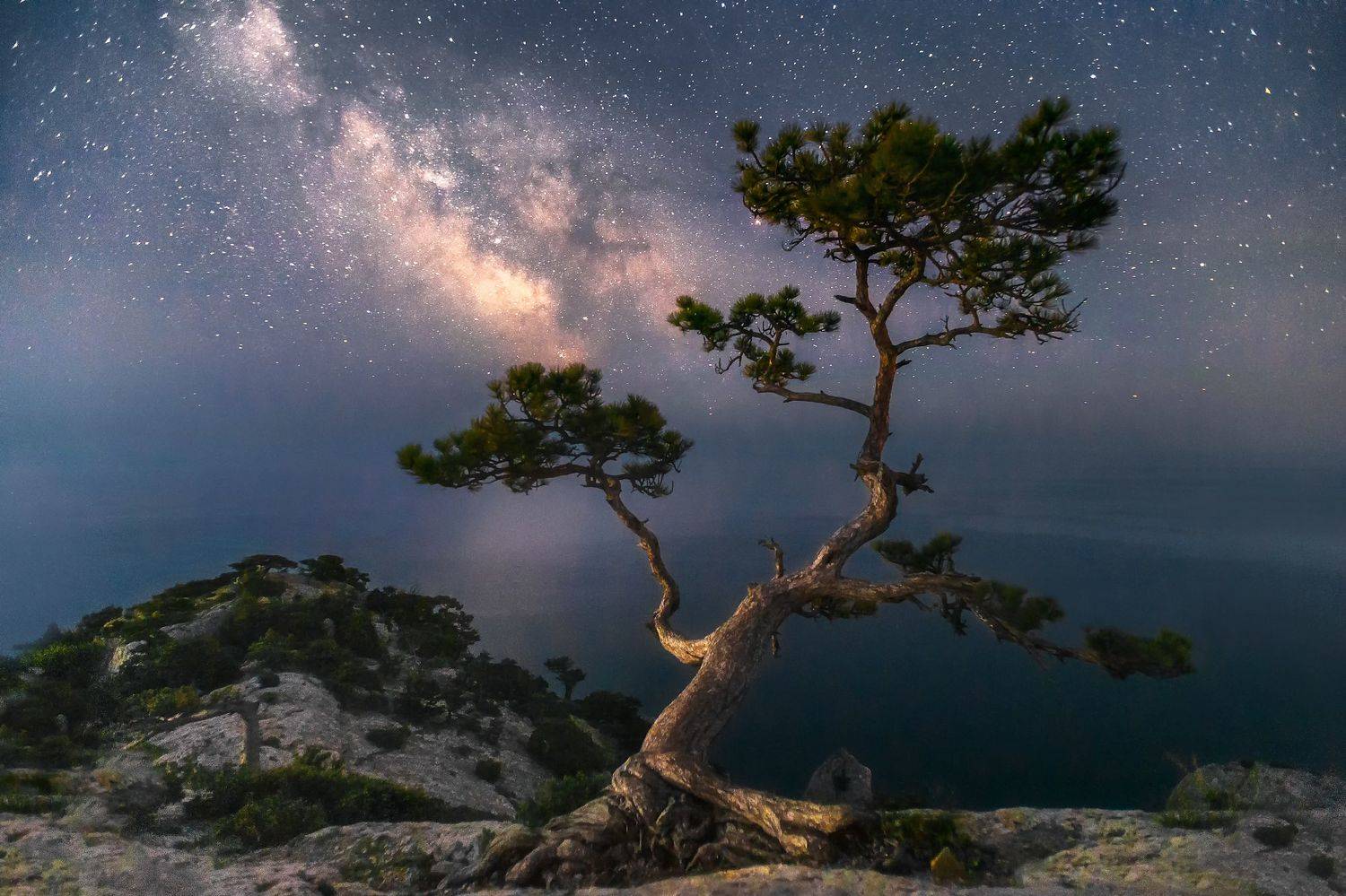 , Юрий Столыпин