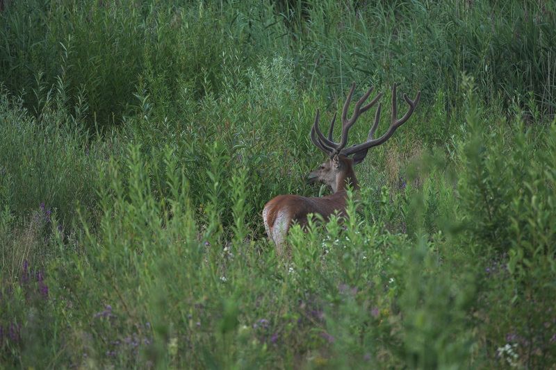 2021 фото превью