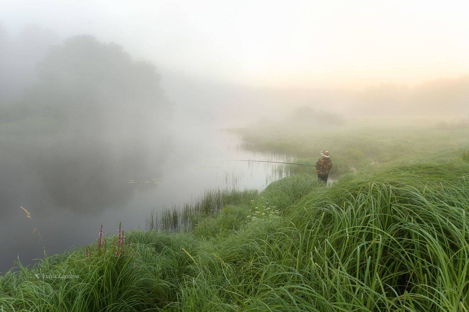 , Юлия Лаптева