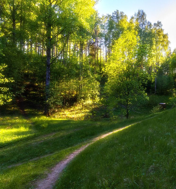 фото превью