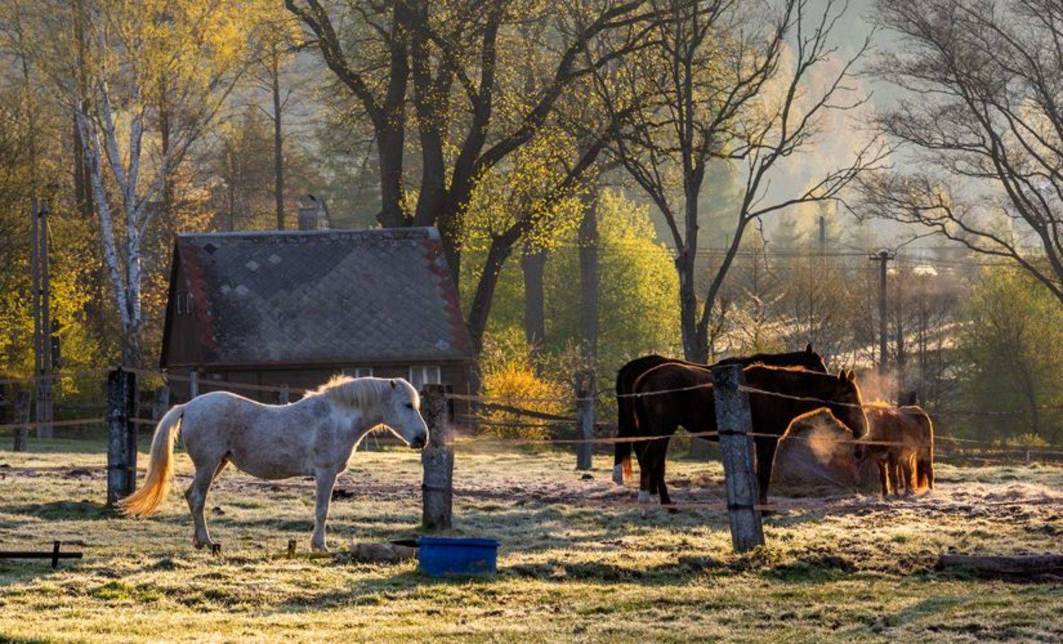 , Людмила Прокофьева